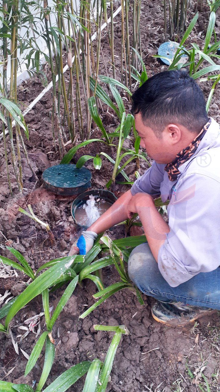 Thiết kế và lắp đặt Hệ thống phun tưới nước tự động Vinhomes Dream City Hưng Yên - 1